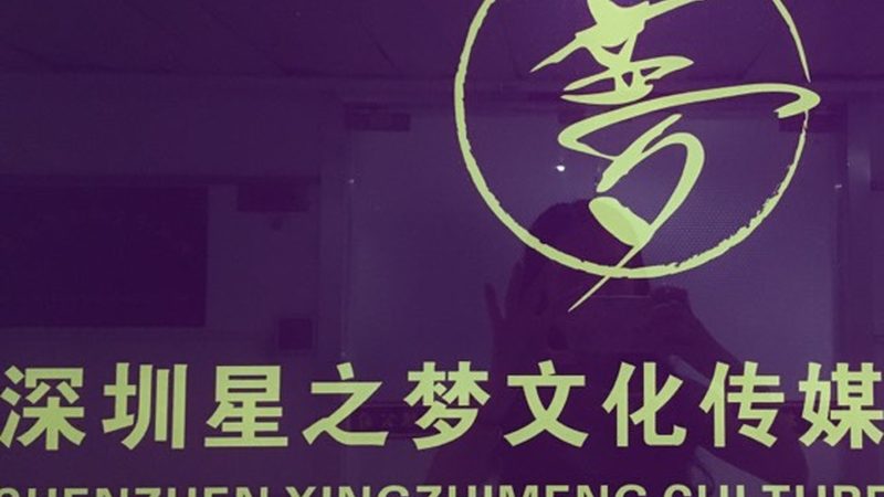 品牌策划设计定制的核心要素与趋势洞察